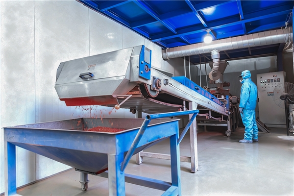 六号厂房-化工塑粉制造车间